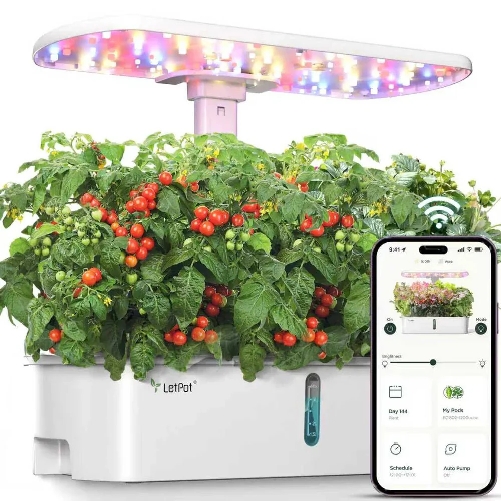 Newest Products